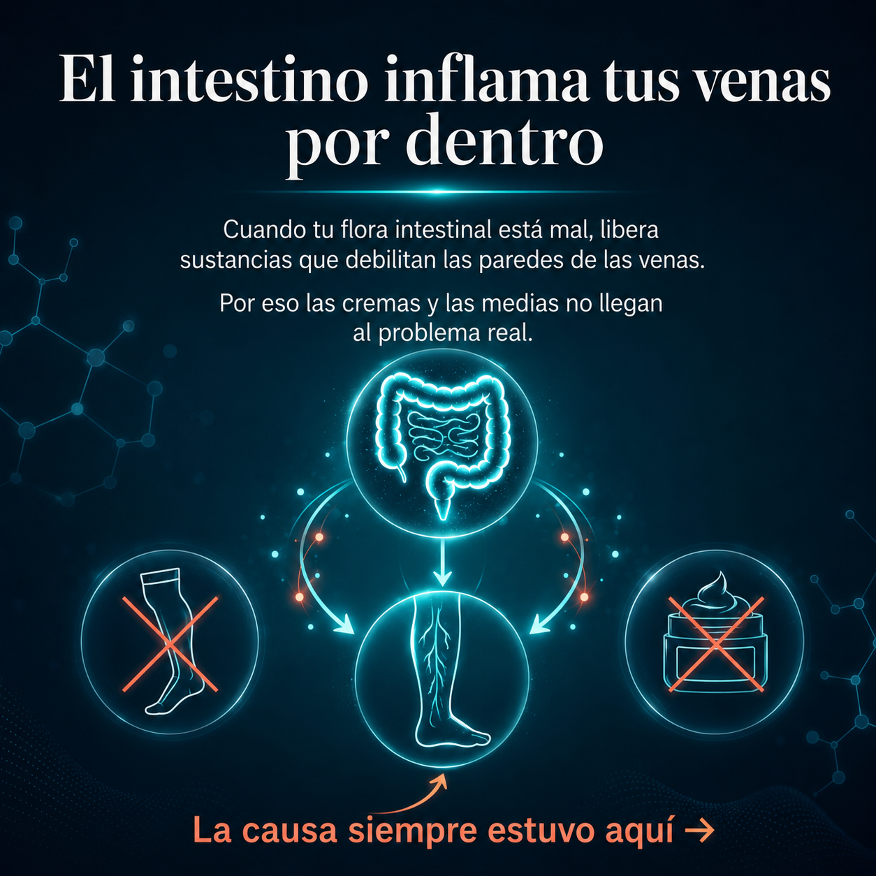 Varysbiotic™: Probióticos que Atacan la Causa (No el Síntoma)