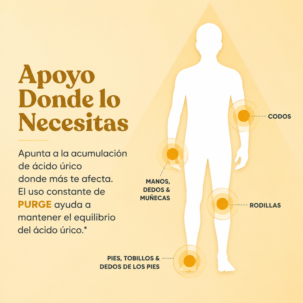 PURGE™: Elimina el Ácido Úrico, Muévete sin Dolor